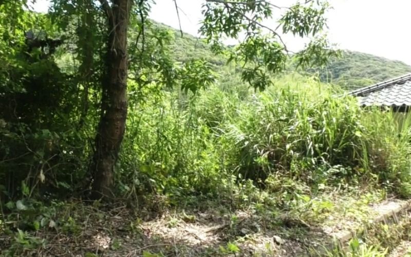 長崎県蚊焼町の土地 | 150万円 | Akiyama house finder